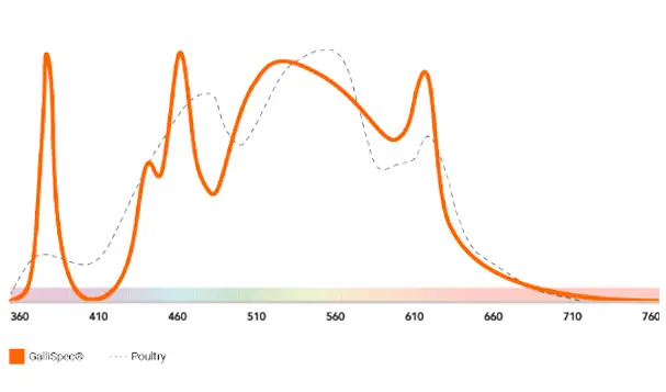 GalliSpec® poultry welfare light