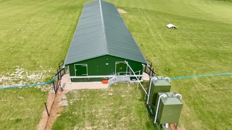 Free Range Layer Mobile 4