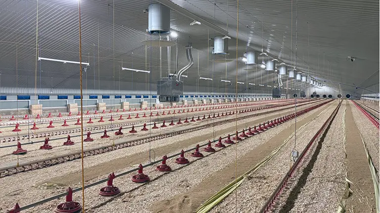 Lancashire House Broiler 1