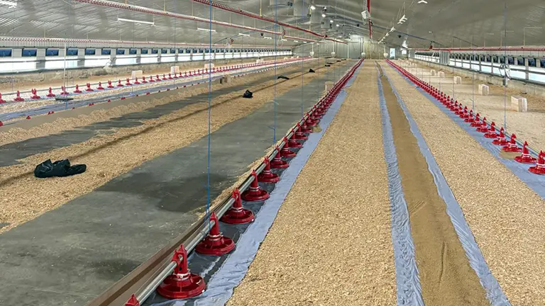 Norfolk House Broiler2