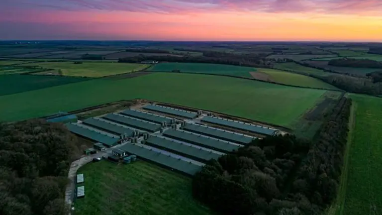 Norfolk House Broiler5