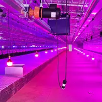 Breeder Lighting
